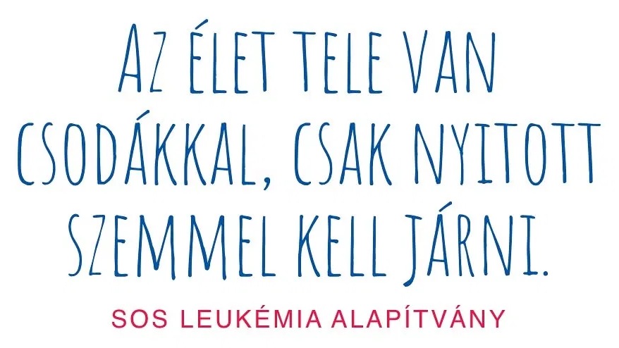 „Az élet tele van csodákkal, csak nyitott szemmel kell járni.” — az alapítvány mondata
